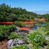 Đến đền thờ Takayama Inari chiêm ngưỡng “suối Torii” đỏ rực